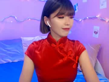 Cam for meywagashi01