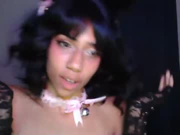 Cam for shykittenx