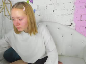 Cam for butterflyanny
