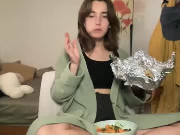 Cam for softlittle13