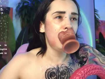 Cam for evarabbit