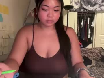 Cam for p_rincesspark