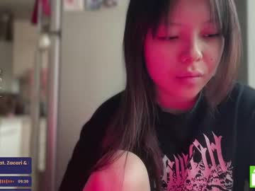 Cam for tiny_sora