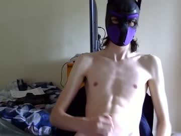 Cam for thatonemeerkat