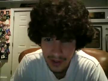 Cam for guizaotex