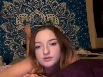 Cam for gbabyy80085