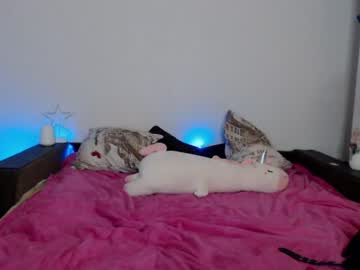 Cam for twinkieslittel